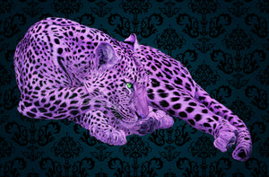 LEOPARD IN MAGENTA & GREEN