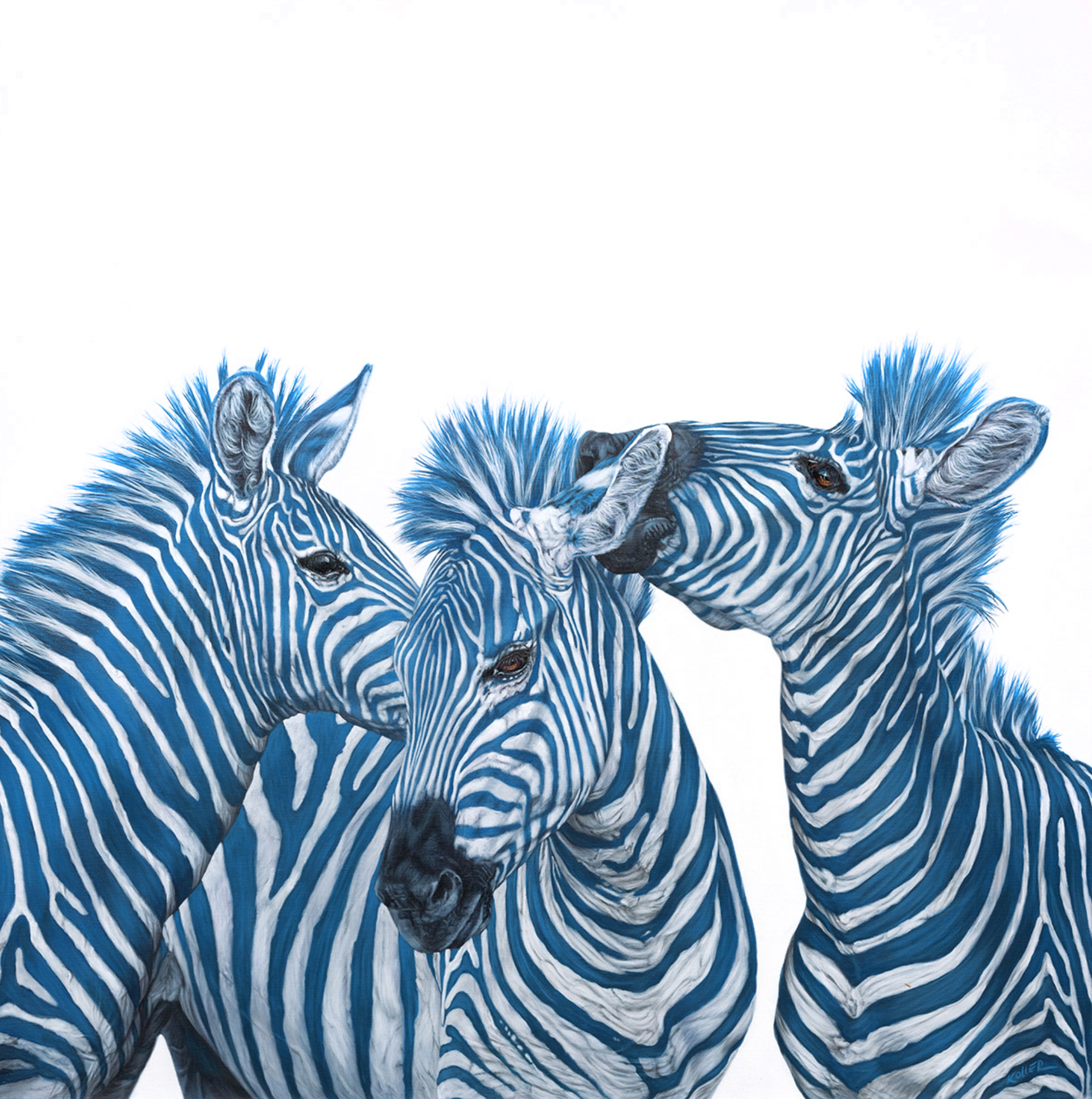 Three Blue Zebras