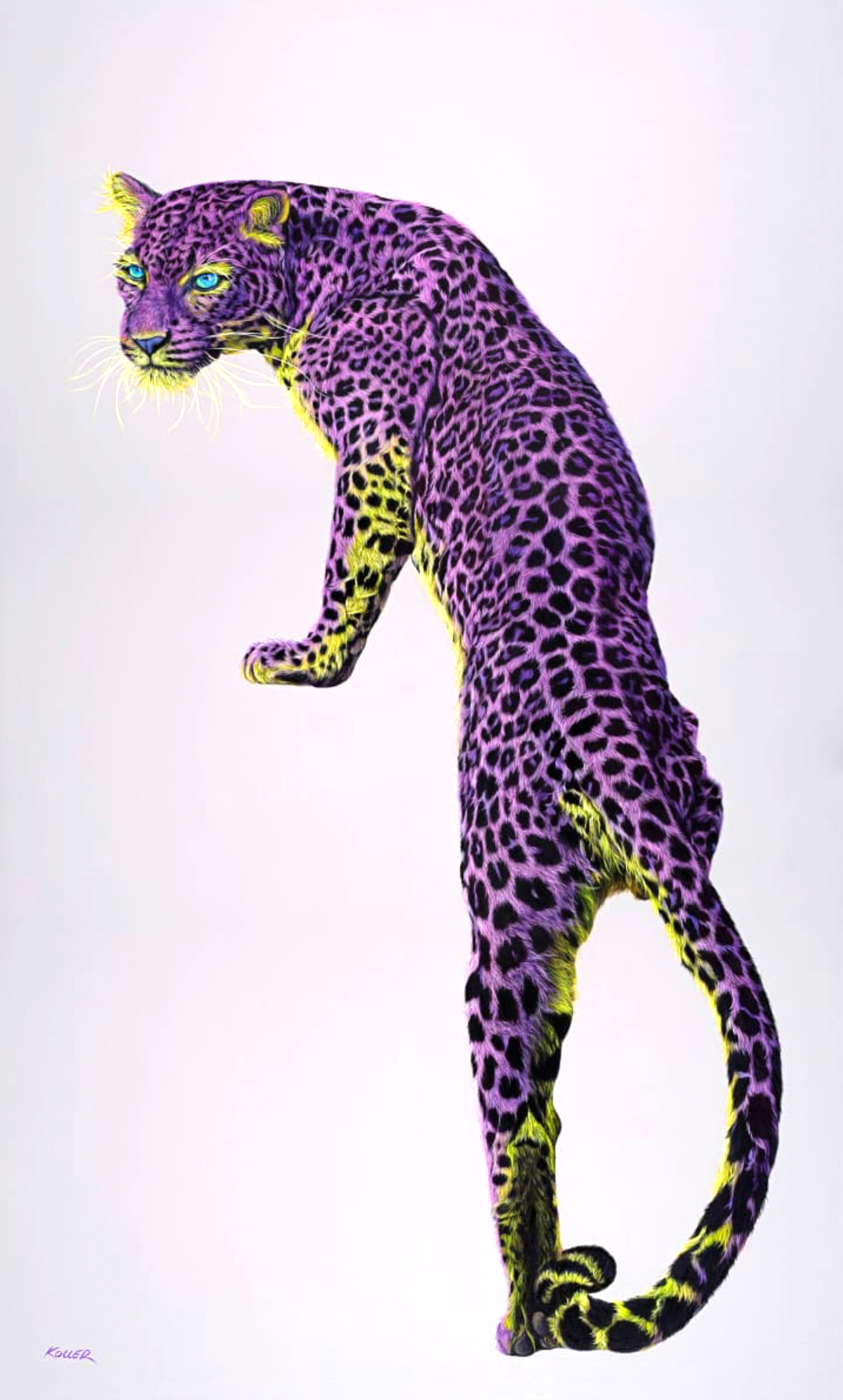 Leopard in Violet & Yellow