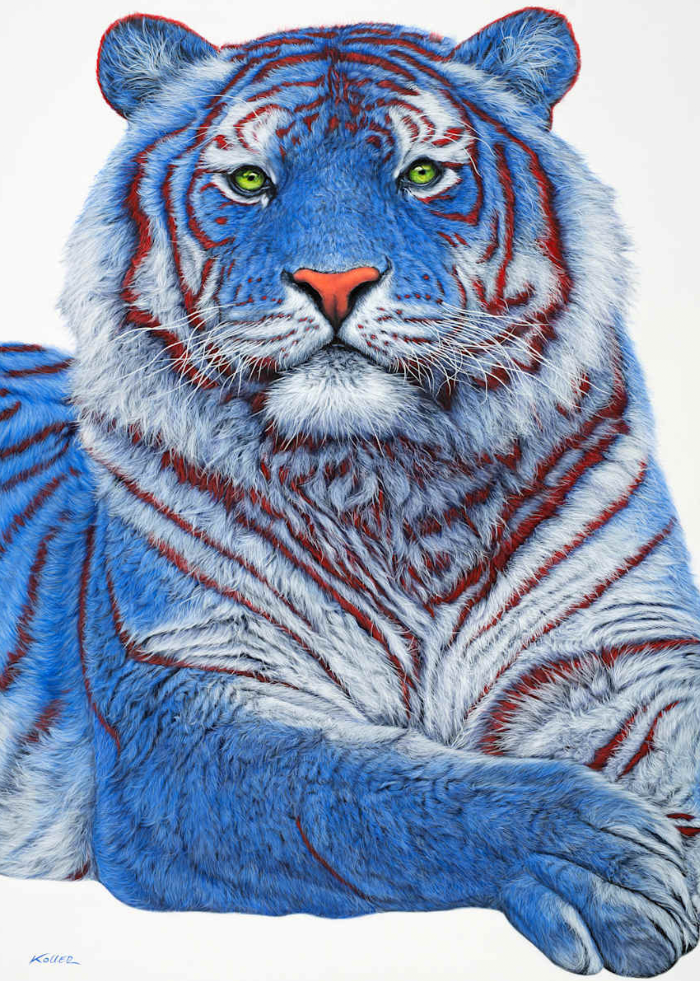 Blue Tiger with Red Stripes