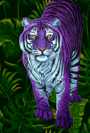 PURPLE TIGER