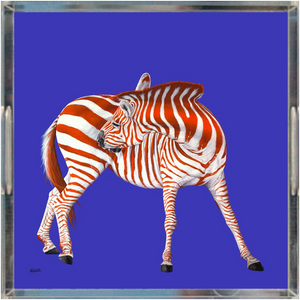 American Zebra